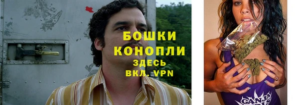 spice Ельня