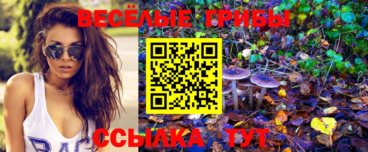Галлюциногенные грибы GOLDEN TEACHER Отрадное
