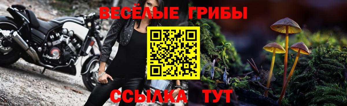 купить   Вход с VPN  Отрадное  Галлюциногенные грибы Psilocybine cubensis  Галлюциногенные грибы Psilocybine cubensis 
